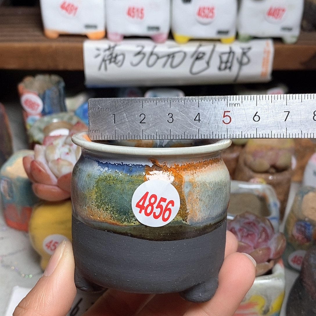 红陶拍5送一个小