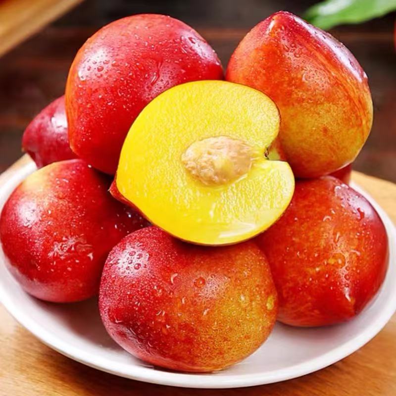 五斤油桃25年新果子大地种植现采现摘好吃的原汁原味云南玉溪