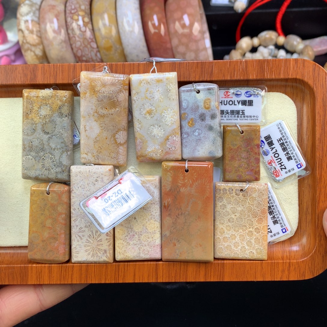 硅化珊瑚（珊瑚玉）未镶嵌颈饰111号单价10米可挑选