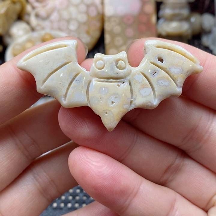 硅化珊瑚（珊瑚玉）颈饰未镶嵌