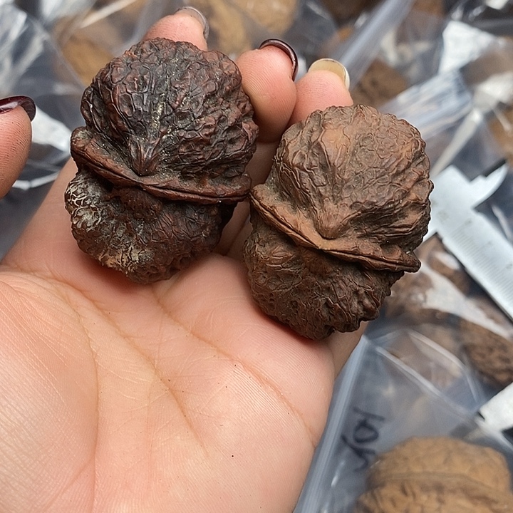 把件文玩核桃55号47mm