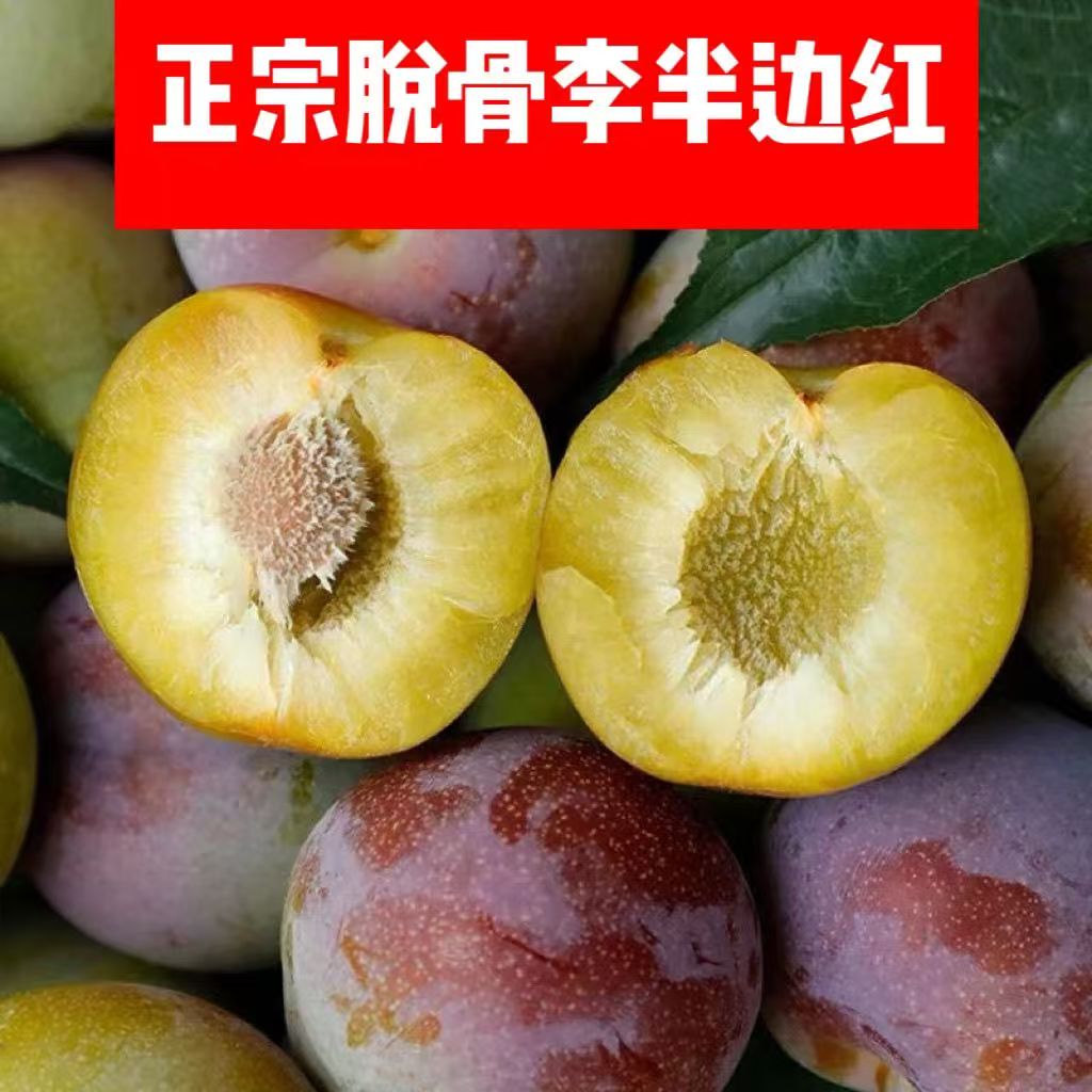 四川半边红脱骨李青脆李新鲜现摘脱骨脆甜多汁应季水果z