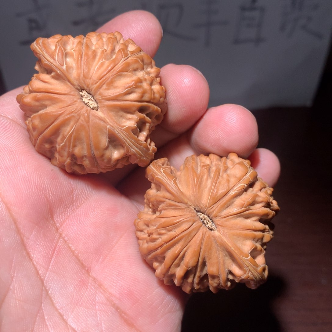 文玩核桃把件红皮蝴蝶磨正全