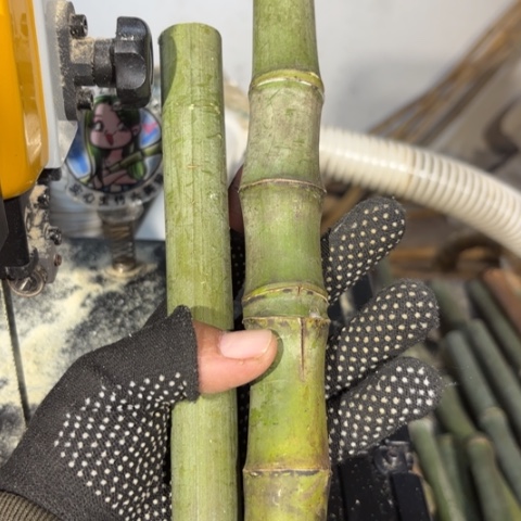 风***风实心竹竹竹竹竹竹竹竹竹