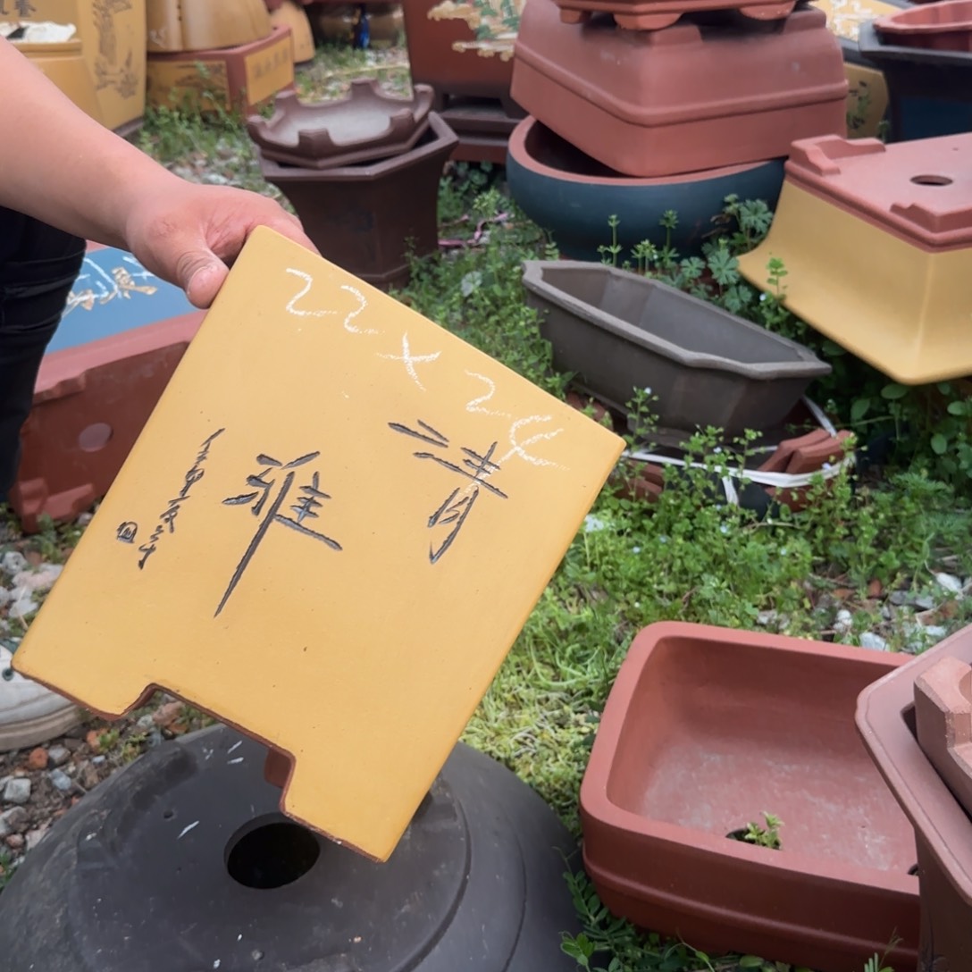 紫砂花盆花盆盆景盆栽