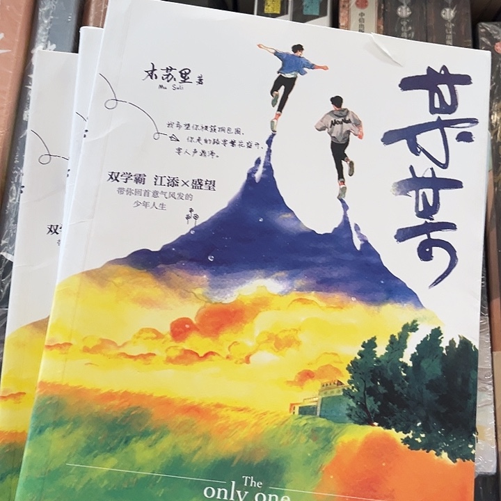 某某全新全套三本带周边未删减