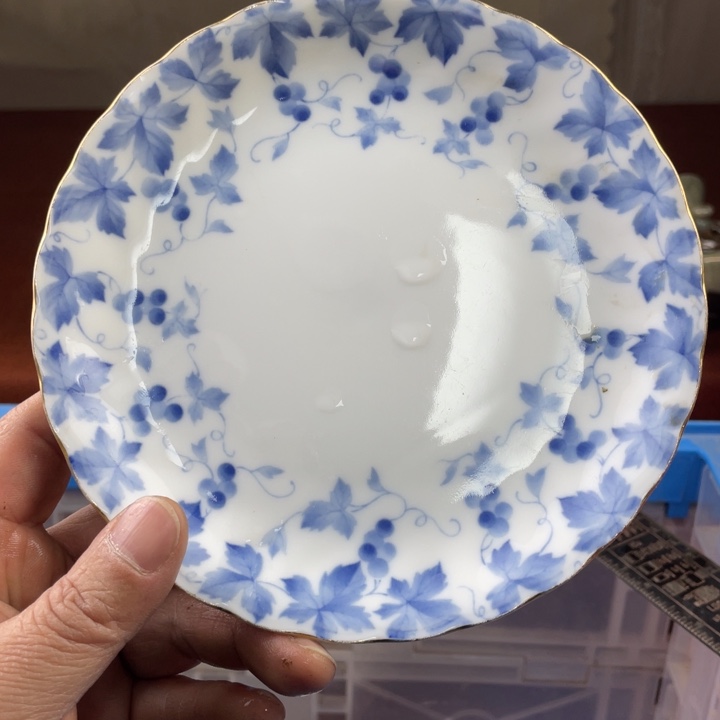 碟开播了开播了开播了