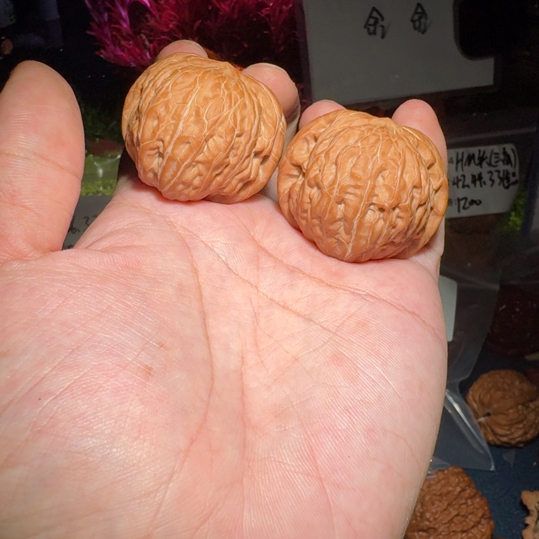 核桃把件083铁锤妹妹，尺寸40 38 34