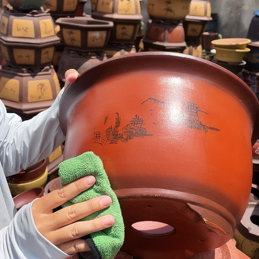 35紫气东来花盆花盆花盆