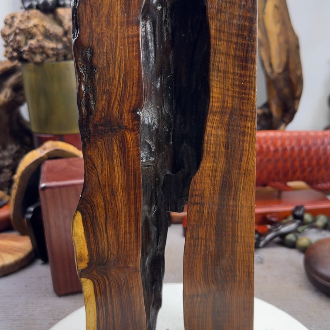 大果紫檀（缅甸花梨）奶*