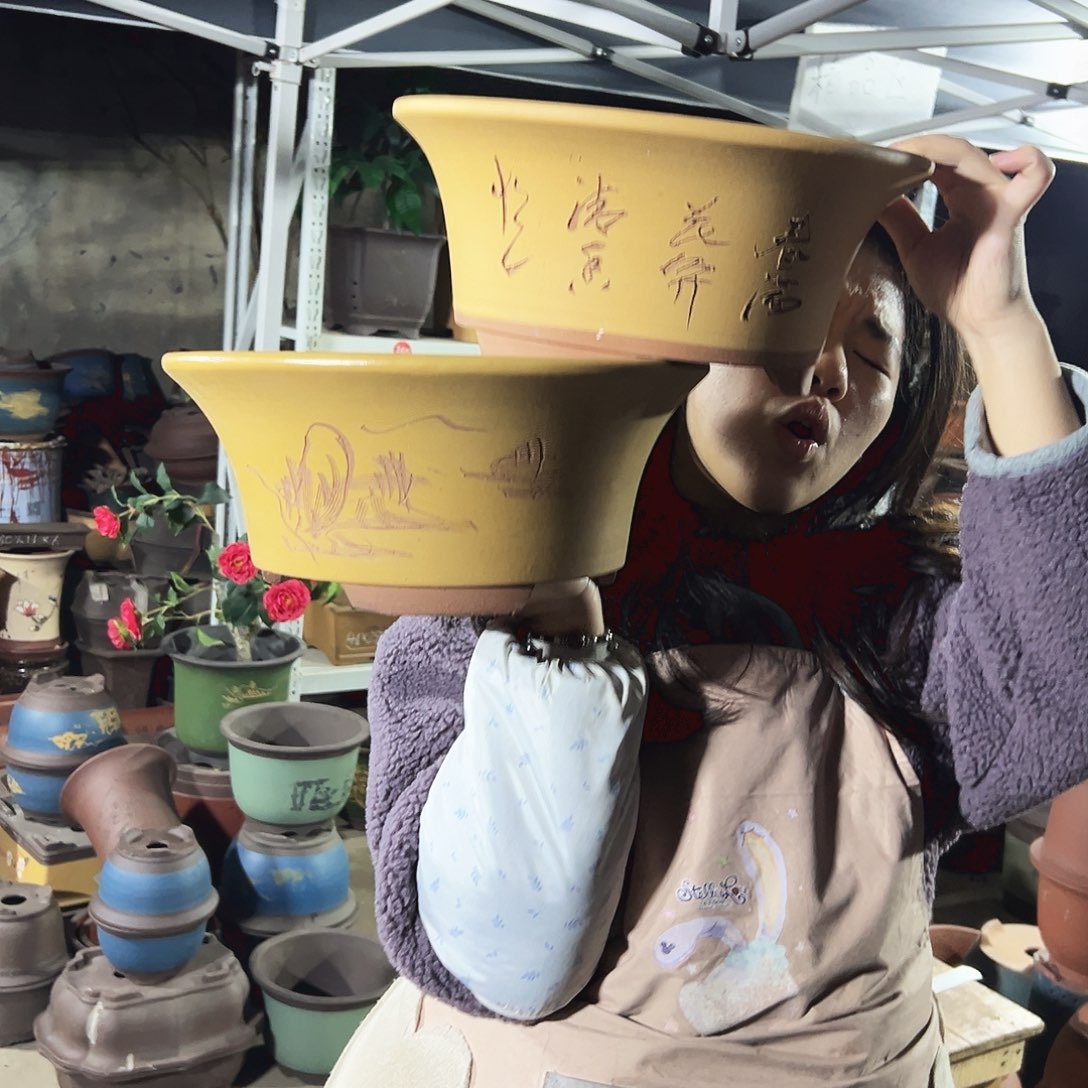 33+33黄票口花盆花盆花盆