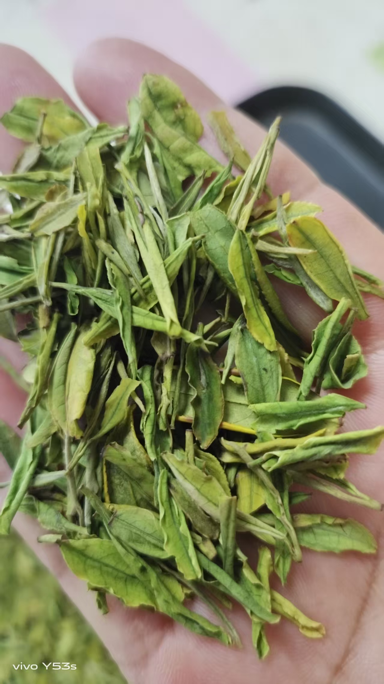 好喝不贵【 碎片 】  安吉新茶高片