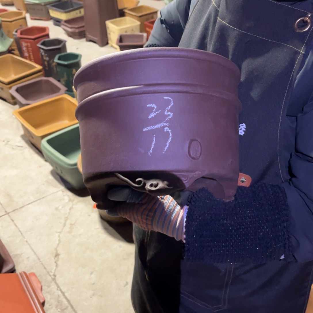 紫砂花盆盆景艺术