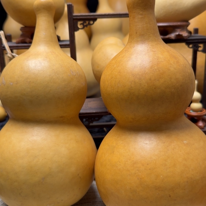 单***狗葫芦一组嘎嘎漂亮