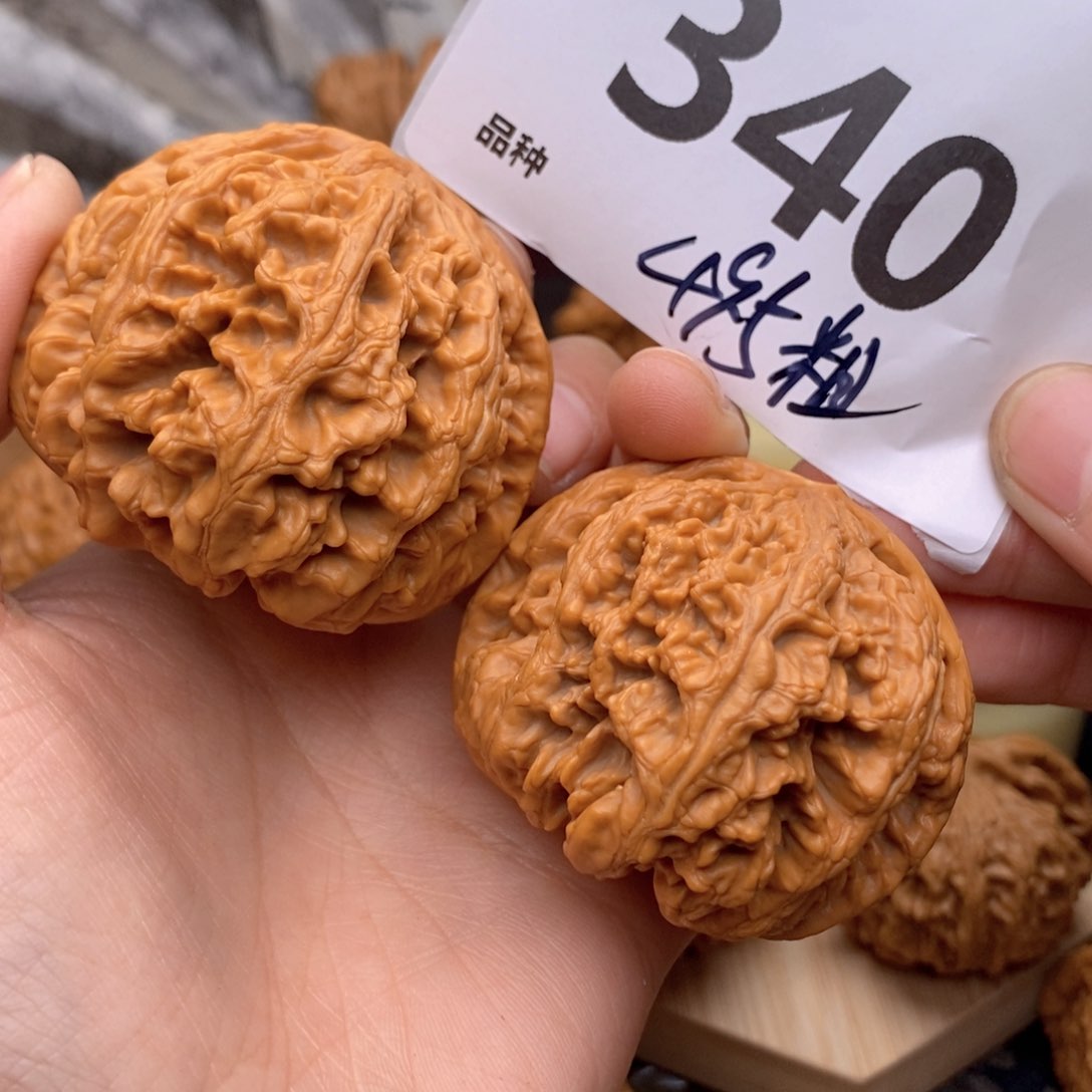 文玩核桃把件340号49.5粗筋