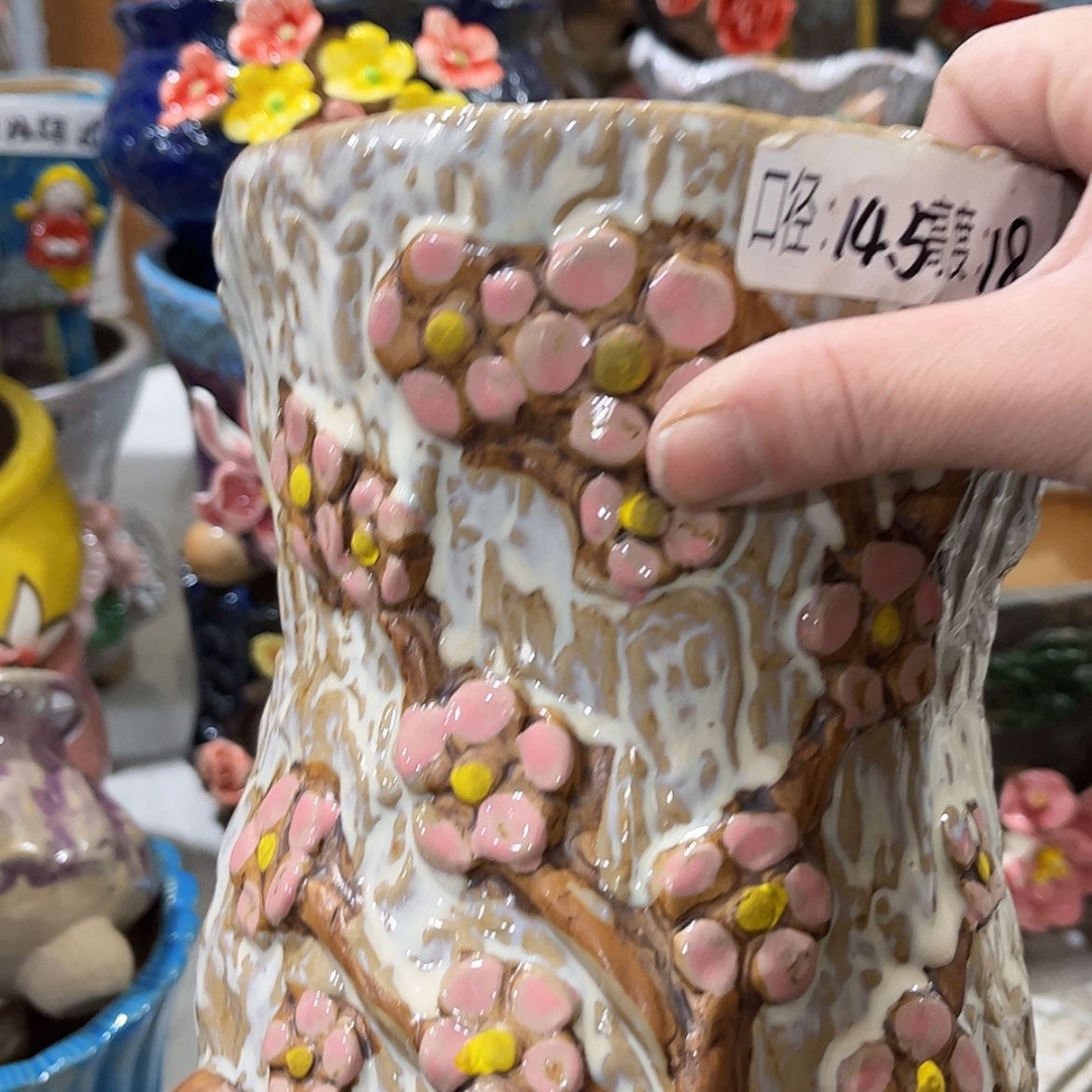 【闪购商品】红陶福利