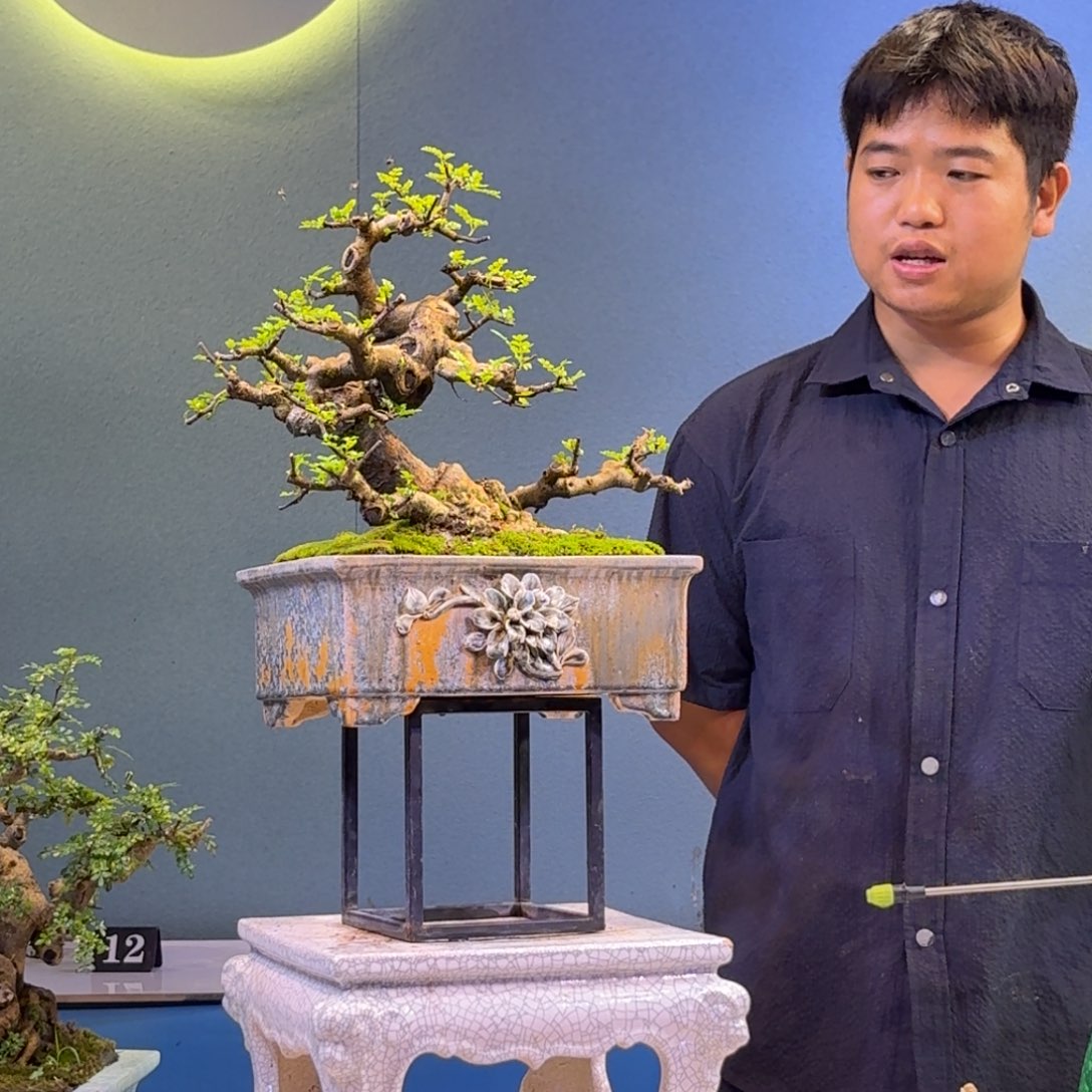 坏***球完全开放胡椒木物一物一拍