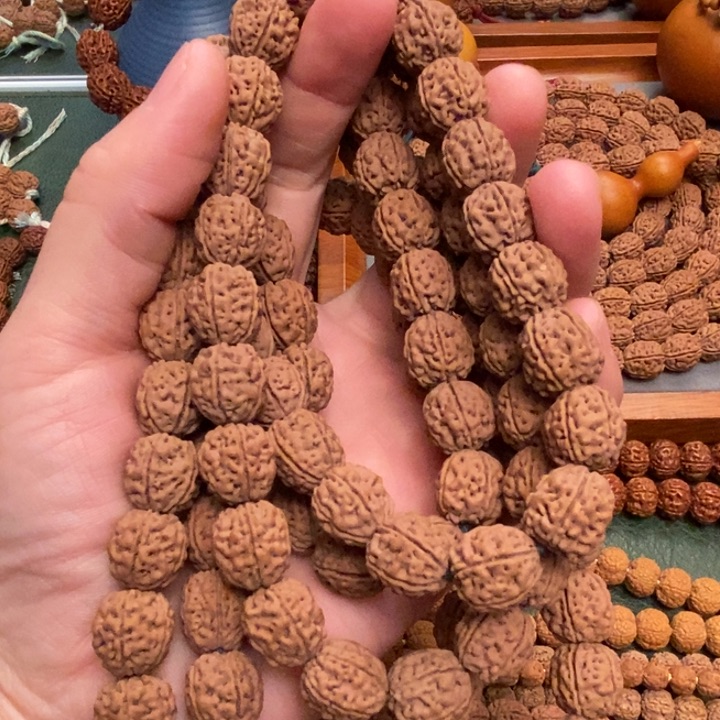 菩提正*盘龙，108