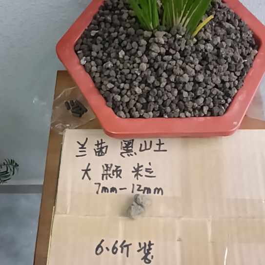 咸***苑兰菌黑山土大颗粒6.6斤