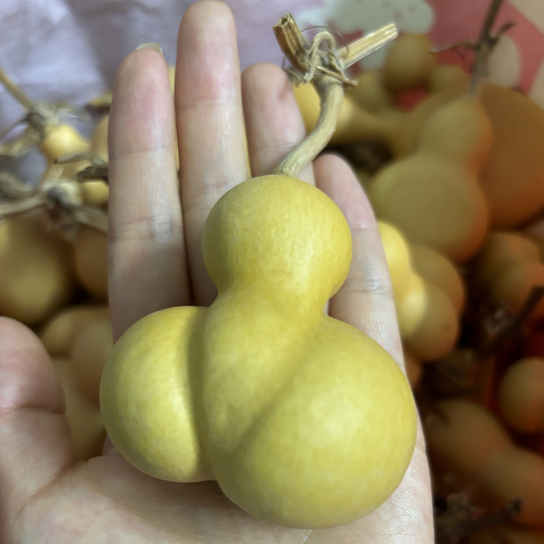 金蟾葫芦文玩葫芦美果文玩摆件饰品手把件手捻偏远地区不包邮