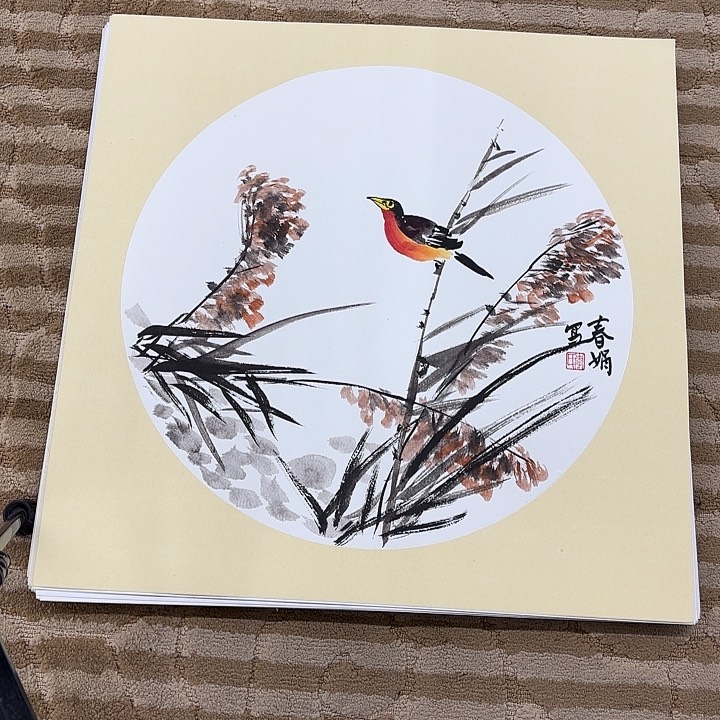 国画花鸟等多种鸟类和鸟类50.50