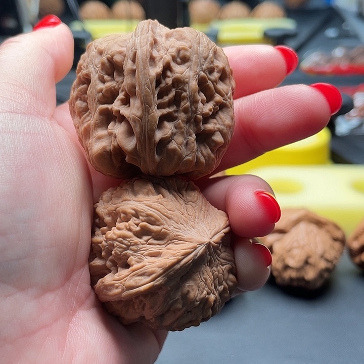 用****7全品无修将军膀38/42/40