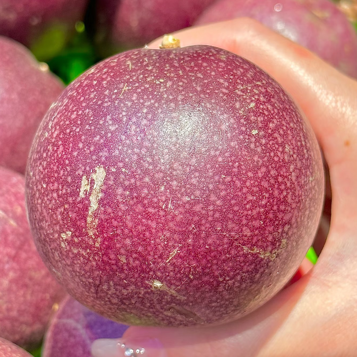 紫甜甜水蜜桃百香果（箱）49.8/箱 大果 