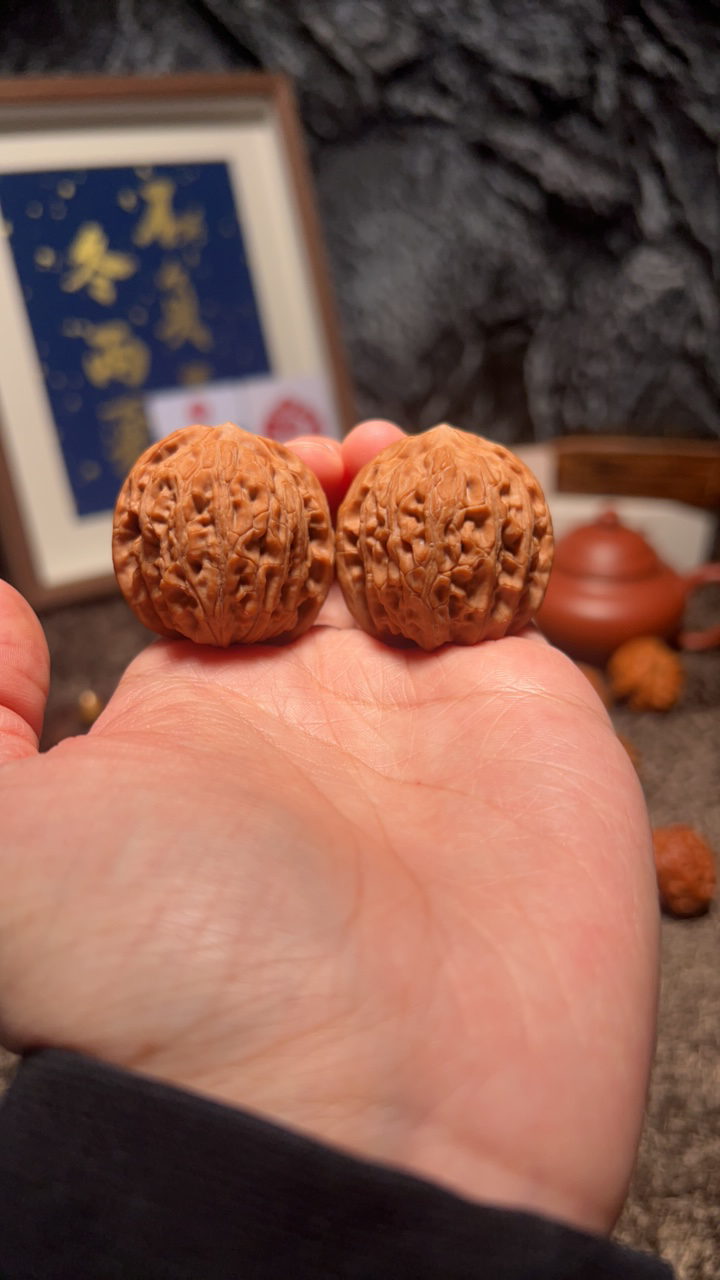 文玩核桃 原树龙胆元宝6668号35尺寸