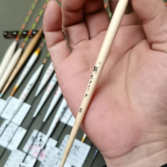 柴***棍巴尔沙木鳞光碳脚，软尾2支