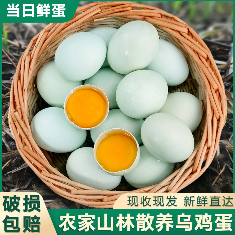 【50枚新品】农家绿壳乌鸡蛋山林散养谷物喂养新鲜鸡蛋35-40克/枚