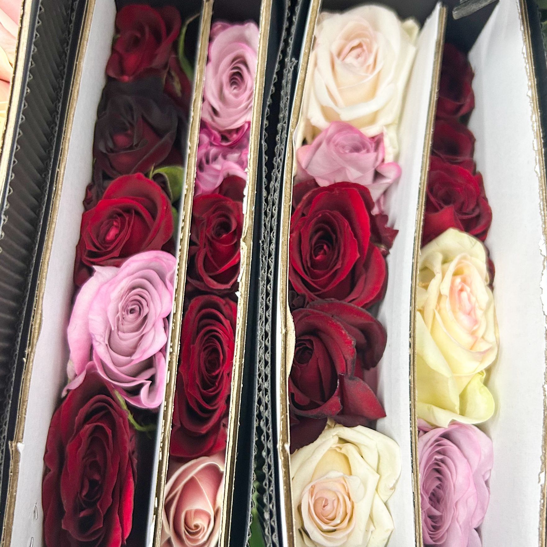 【禾韵花奇艺】20枝鲜花福利盲盒自有基地山东鲜花直播顺丰包邮次日达