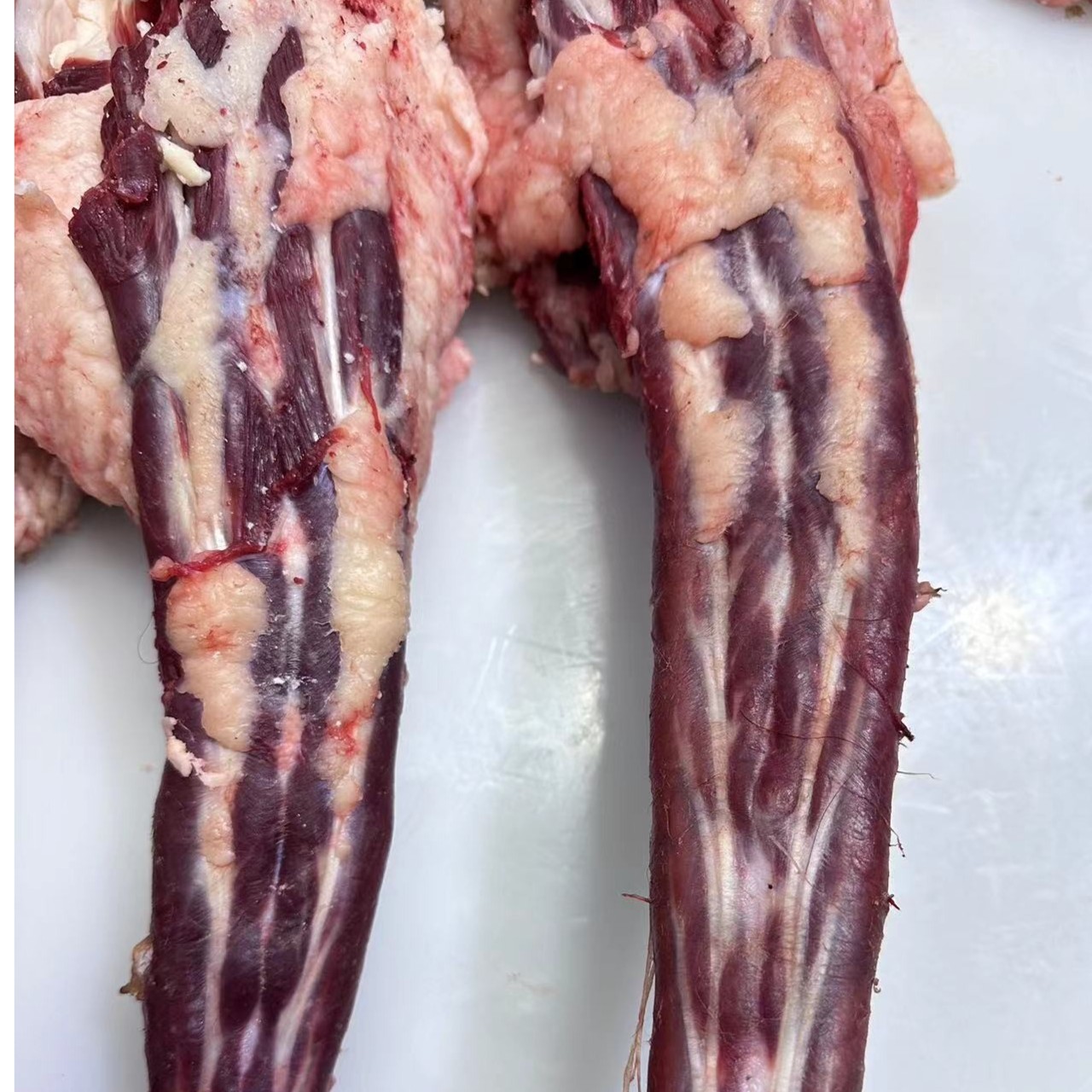 《牛尾》青藏高原 清真牦牛肉 牛尾 2斤