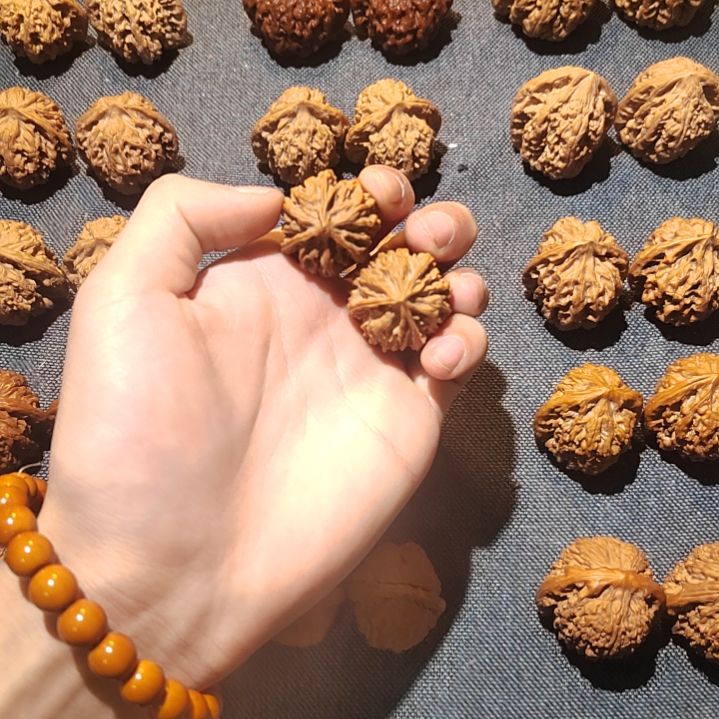 文玩核桃吊坠三棱三棱三棱三棱