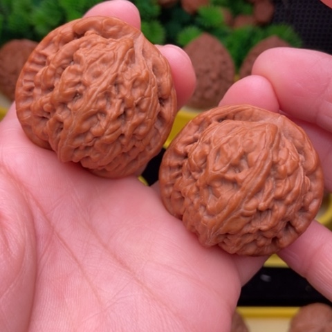 红锦鲤40全品111111