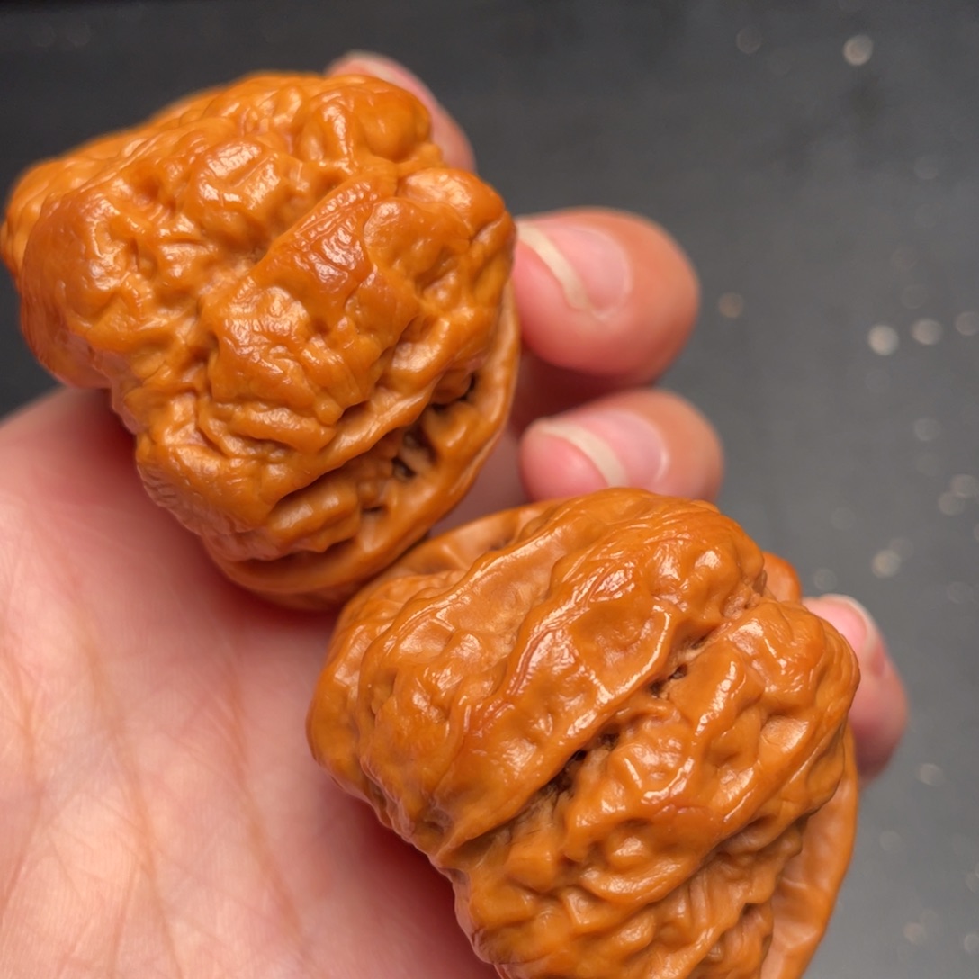 秦岭野生文玩核桃