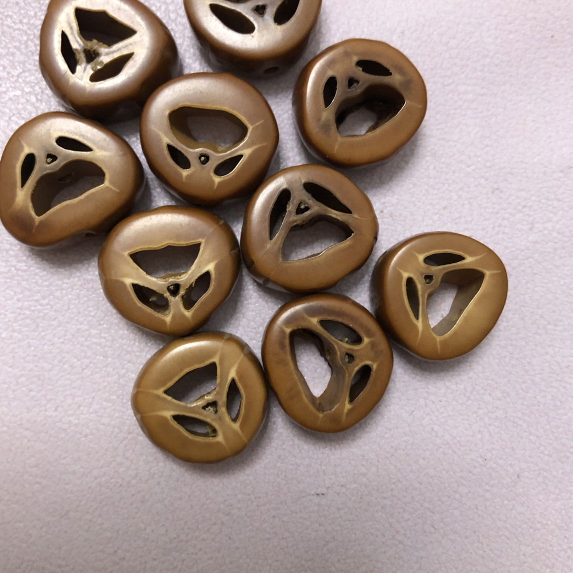 正宗梅林铁核老树老籽