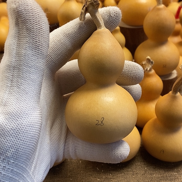 文玩葫芦 完美主义者 慎拍28