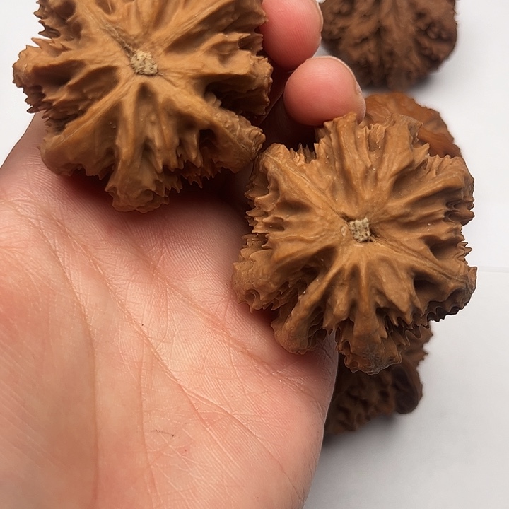 核桃秦岭文玩核桃核桃