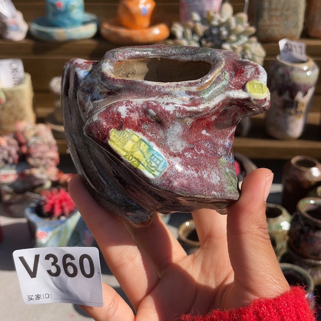 坛子姐花盆 老杨孤品 内口4百搭