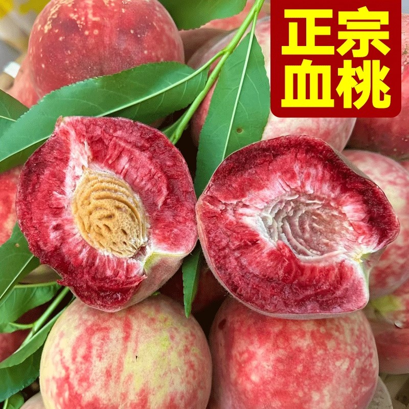 【正宗】湖北胭脂红血桃新鲜红桃应季当季时令水果带箱5斤桃子