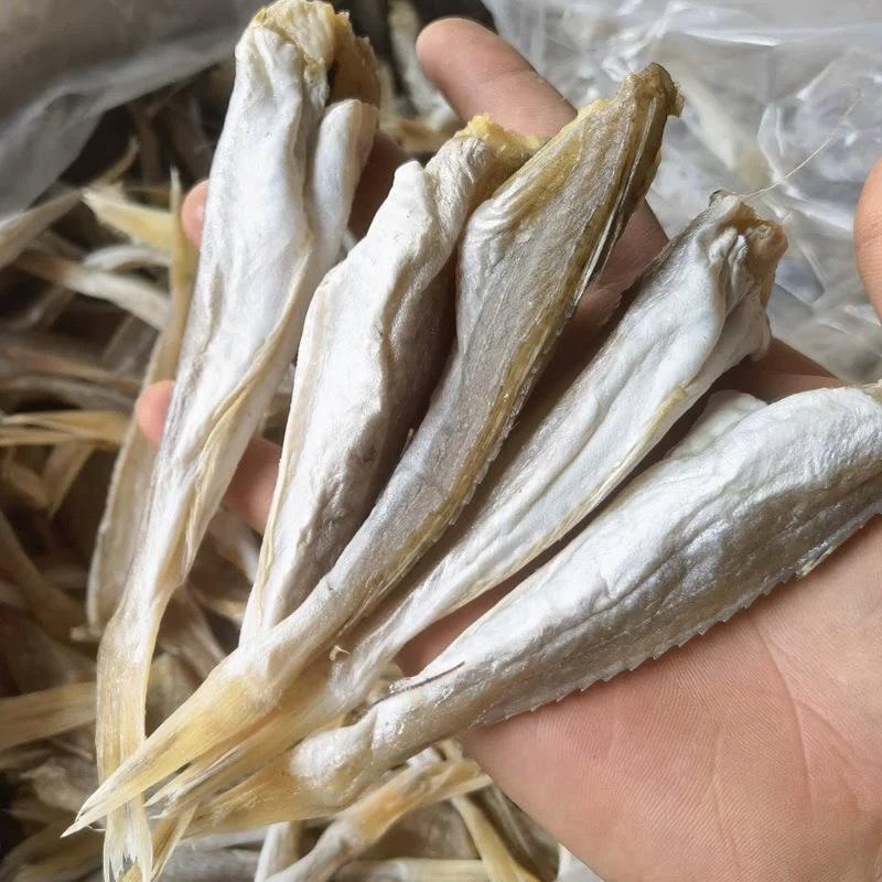 北海特产自制咸鱼干货海鱼去头红娘鱼干角鱼干海鲜水产