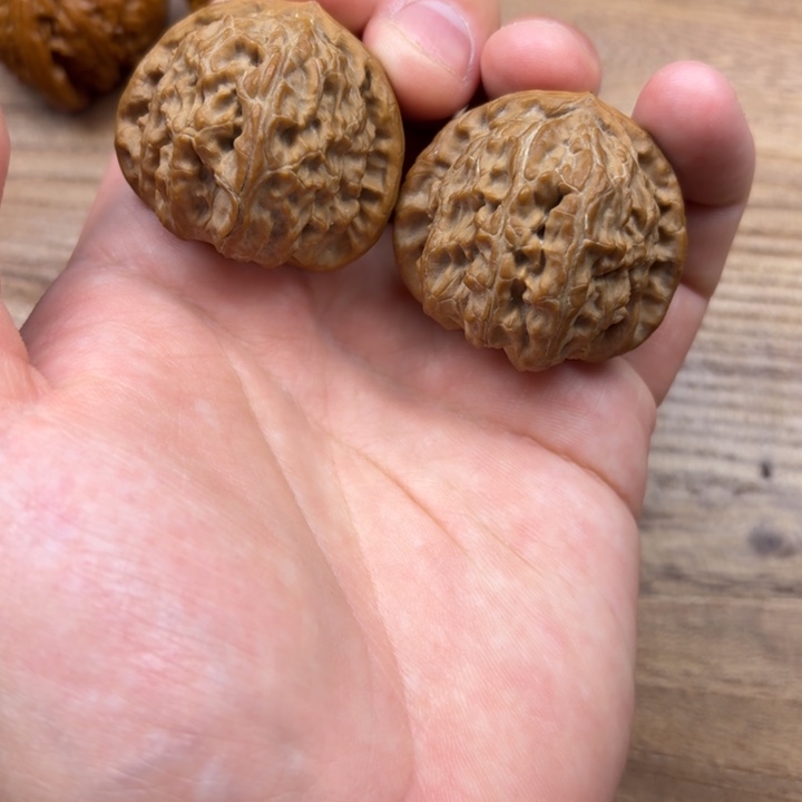 文玩核桃把件白狮子核桃 39