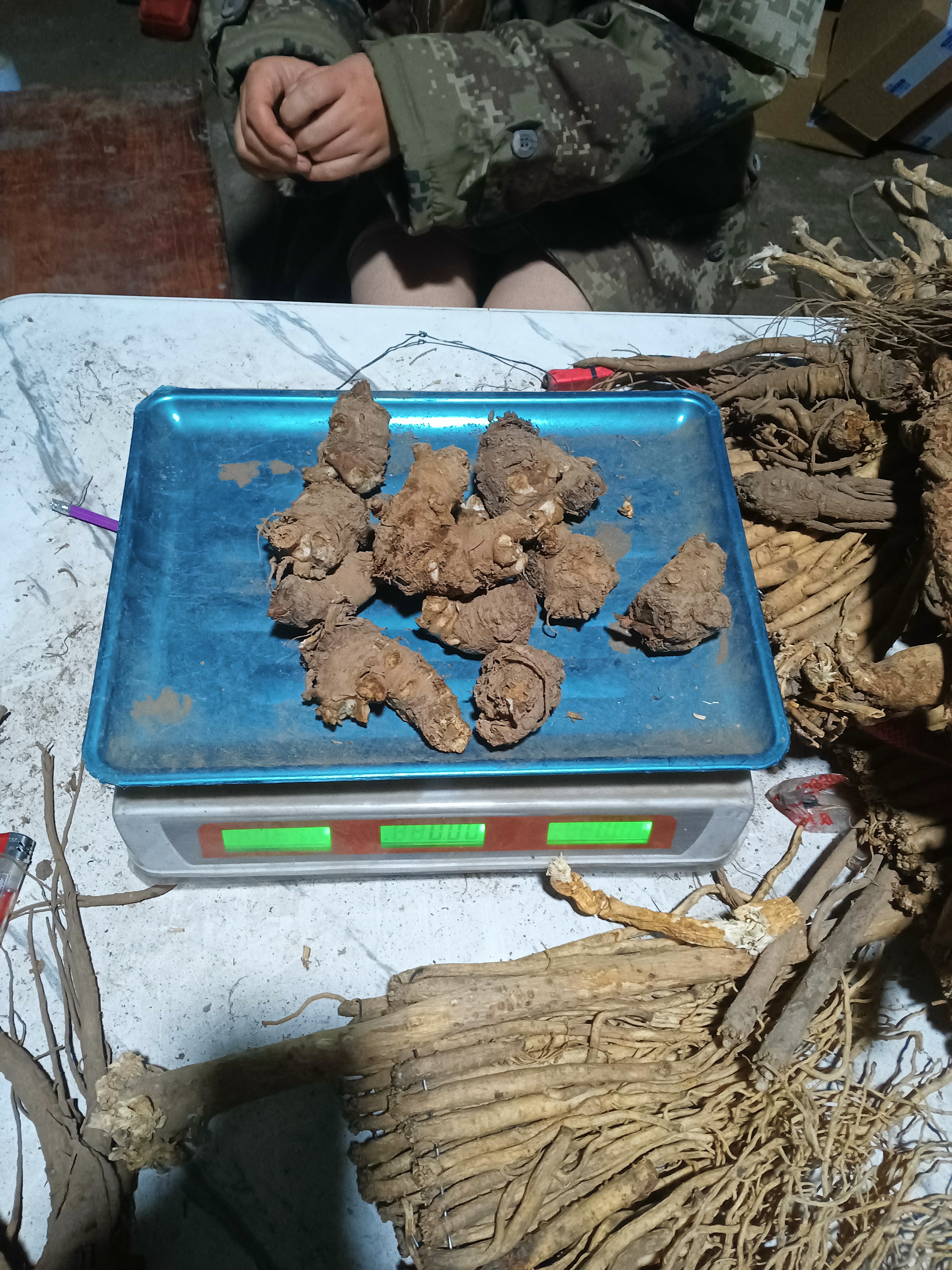 甘肃新鲜当归头产地直发煮水炖汤炖肉品质好