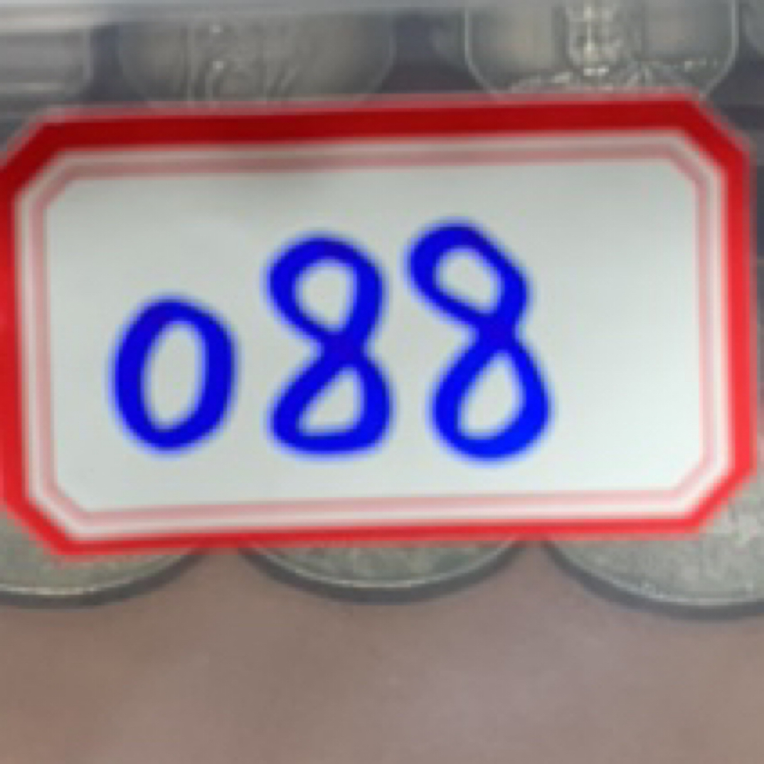 088 复古工艺银元