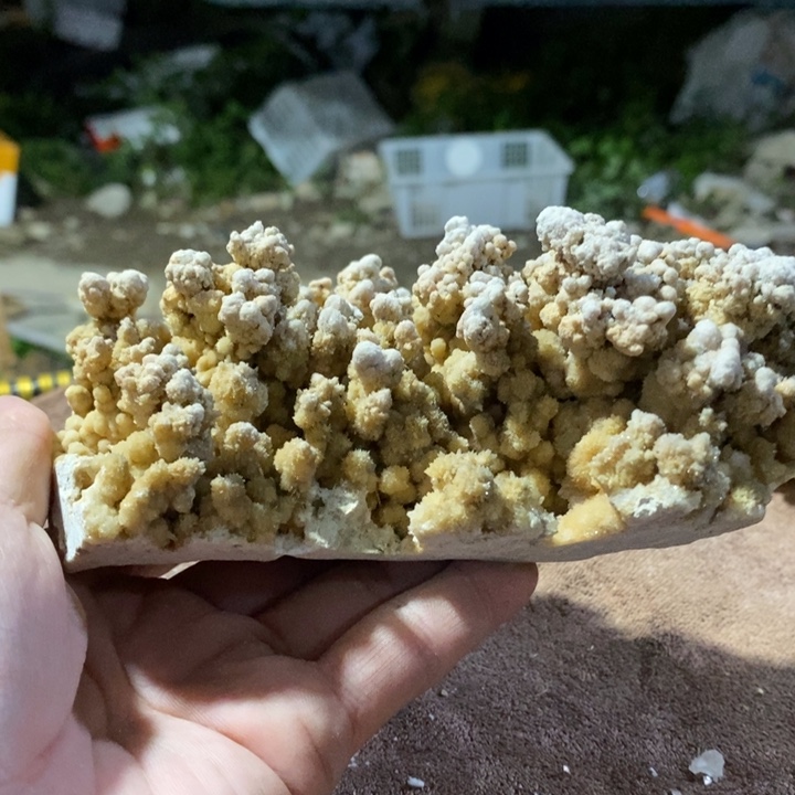 陈***波玛瑙/玉髓合金挂件