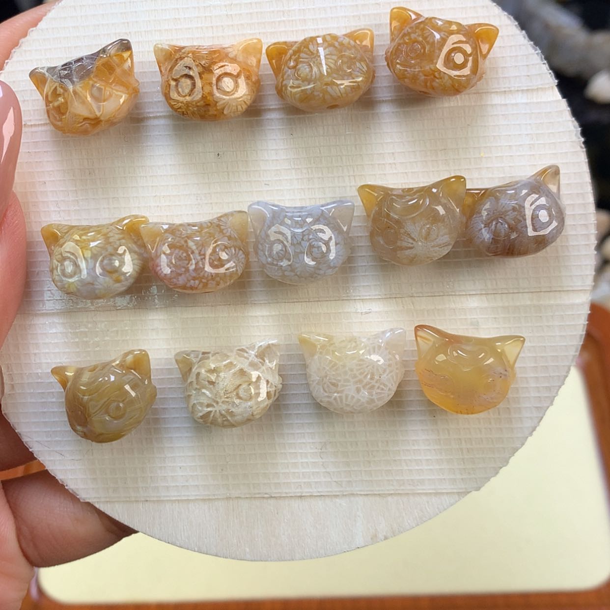 【闪购商品】颈饰未镶嵌硅化珊瑚（珊瑚玉）我***肉