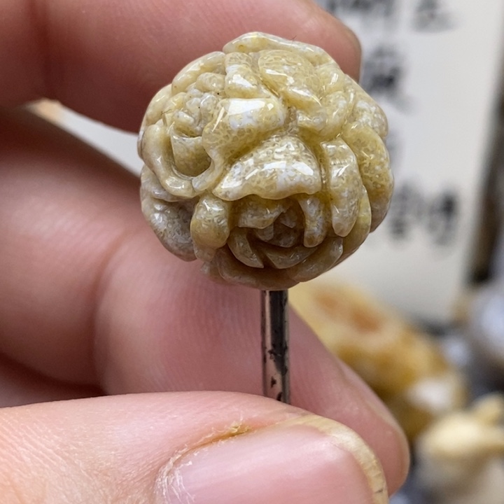 硅化珊瑚（珊瑚玉）未镶嵌颈饰