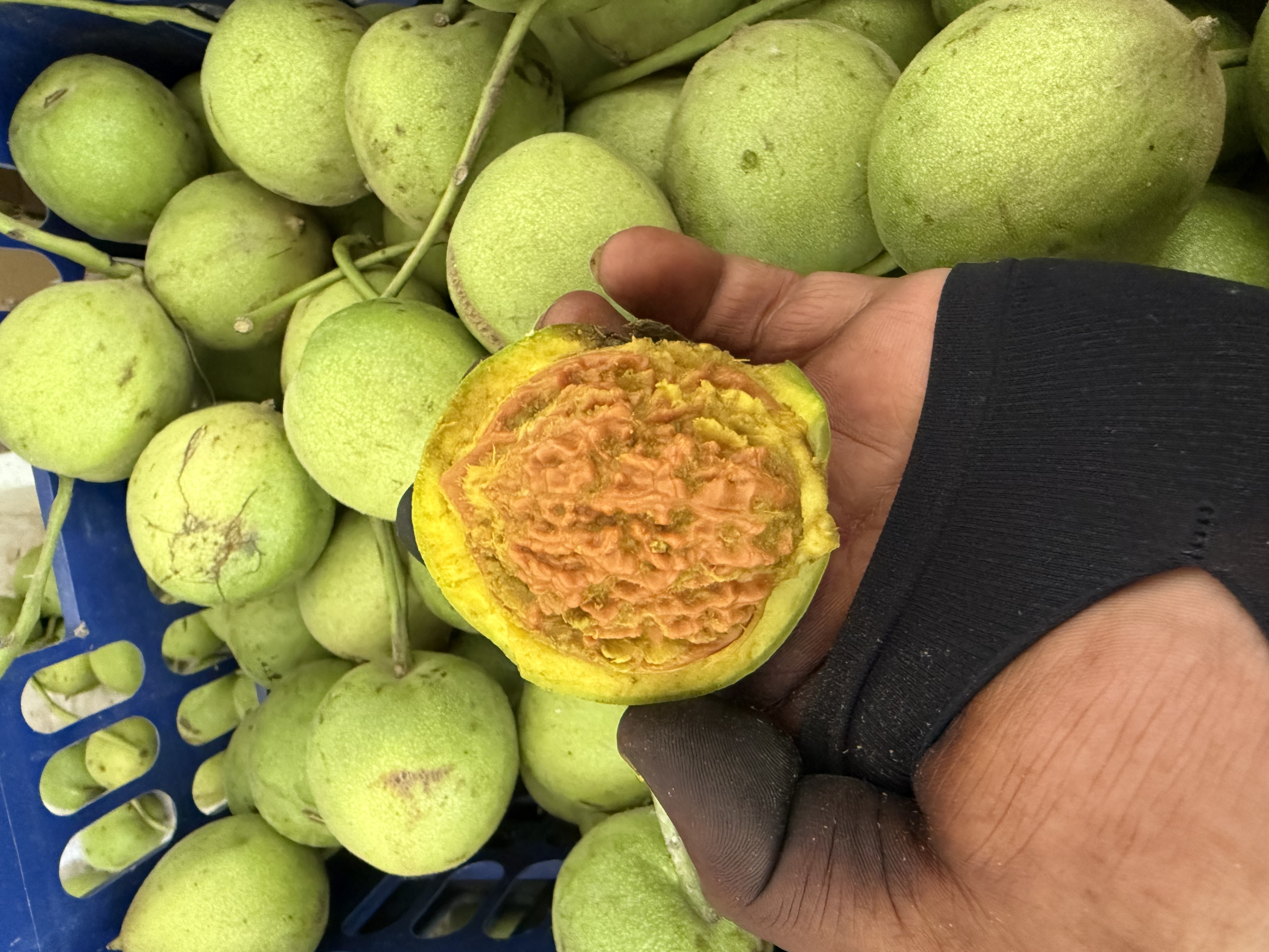 【官帽青皮】保熟不保对  带刷子 带手套 不退不换