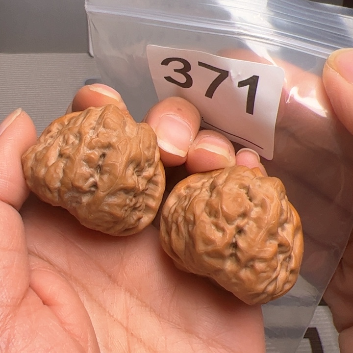 核桃38尺40肚371