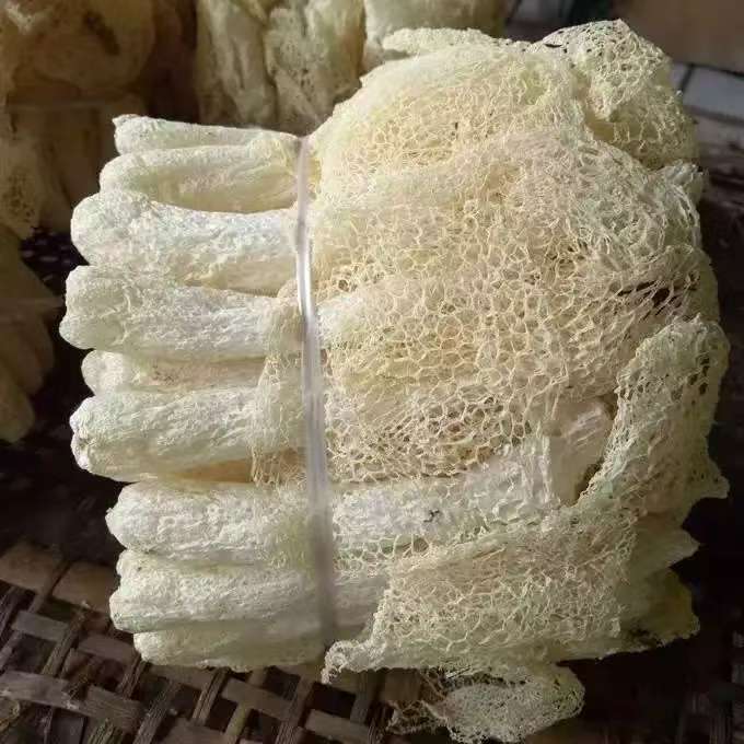 【凉都菇事】野生竹荪干货现摘自然晾晒营养丰富